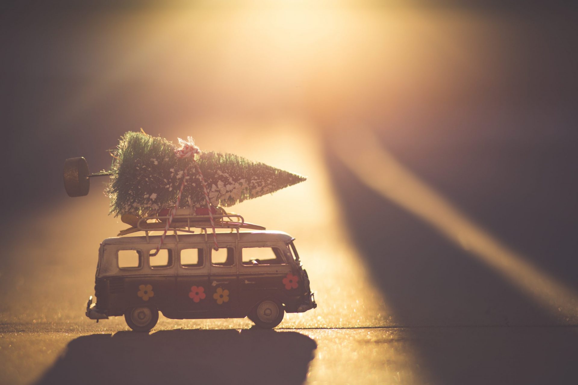 Weihnachtliche Busfahrt